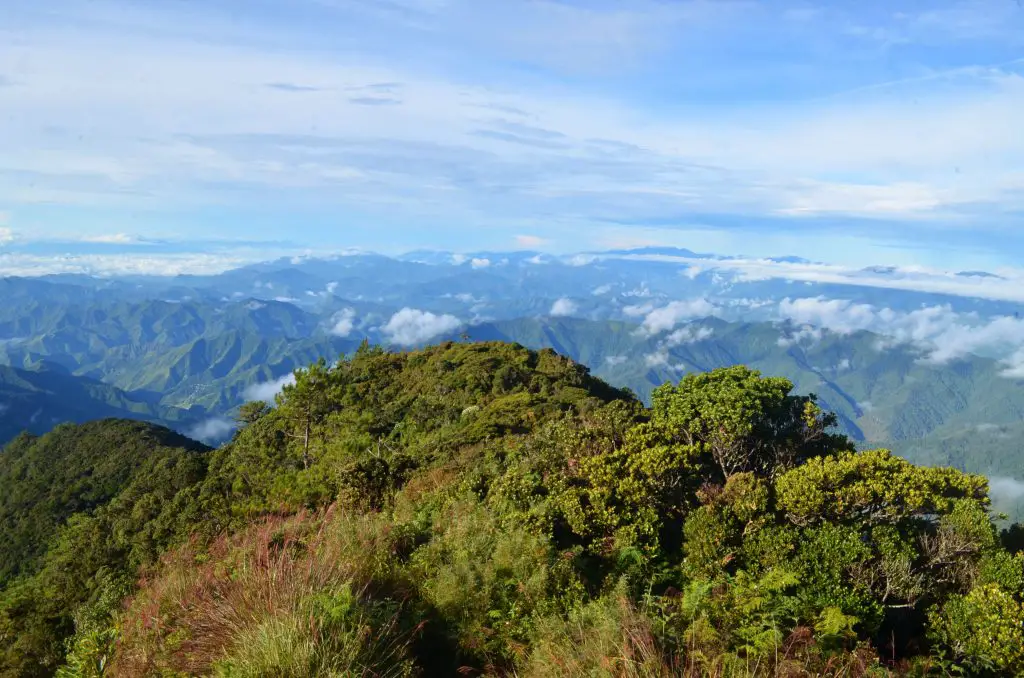 Behold the lush Cordilleran forests as seen from Mt Amuyao