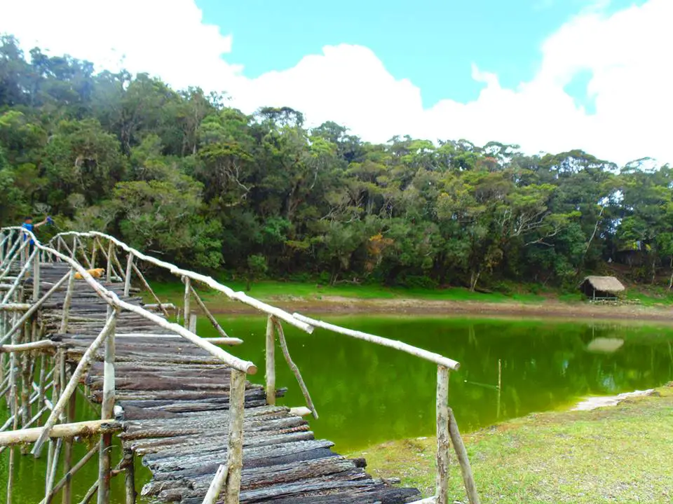 A temporary bridge constructed across Lake Tufub.