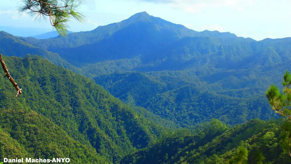 Forested-mountains of Lias, Barlig, Mountain Province