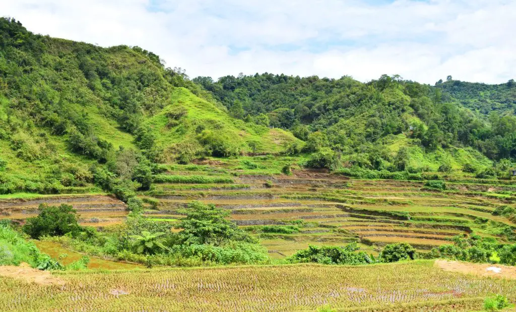 Stone-walled terraces of sitio Togoy, Baayan, Tublay.