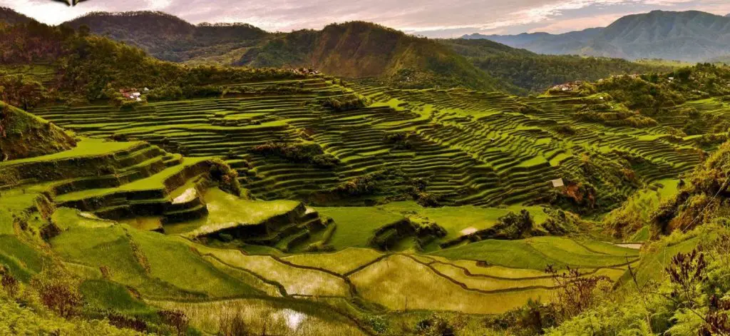 Maligcong Rice Terraces is one of the best rice terraces of the Philippine Cordilleras