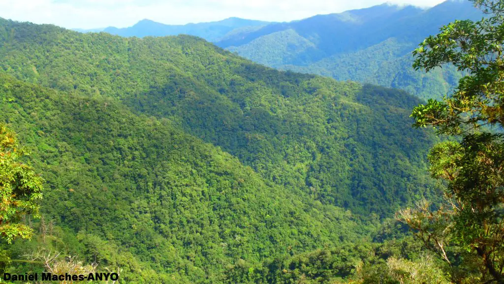 mindanao tourist spots collage