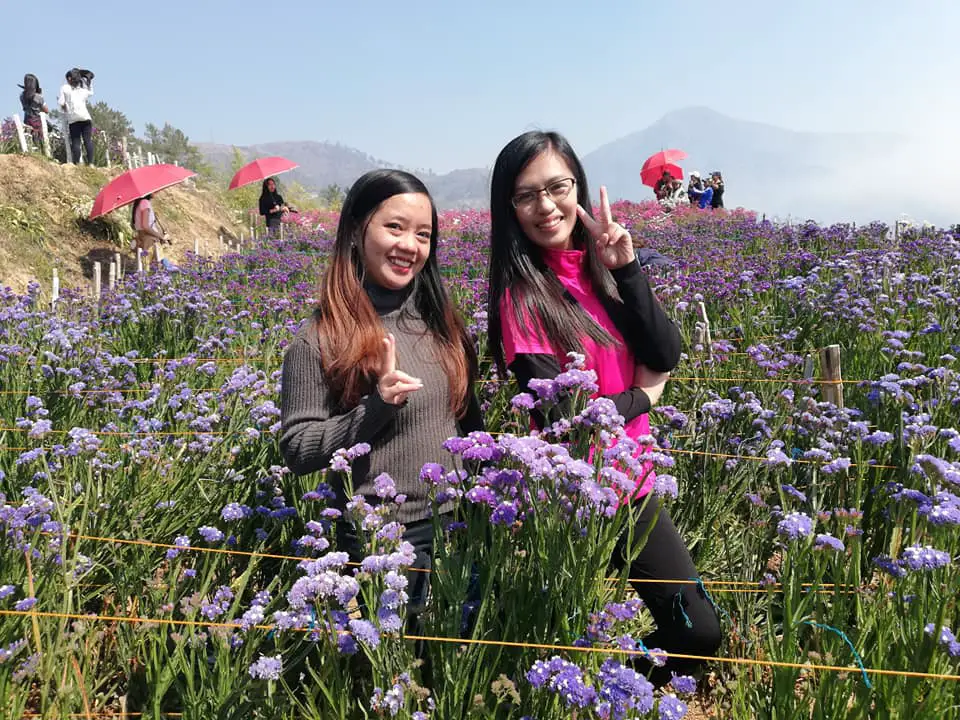 Northern Blossom Farm is one of the tourist spots in Benguet