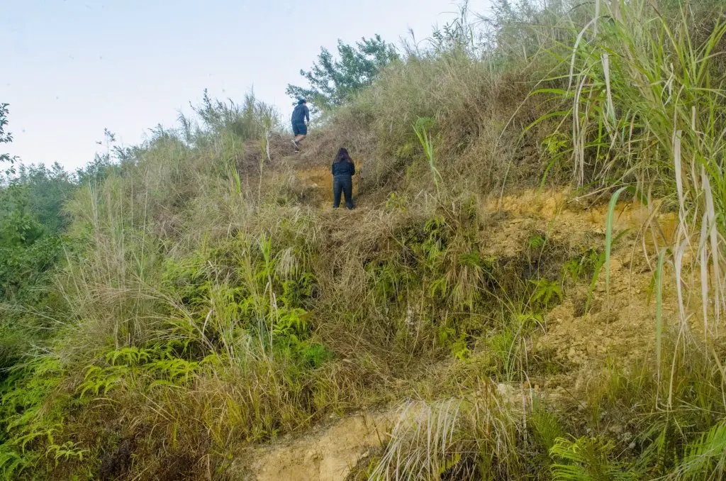 On the way to Mt Yangbew, La Trinidad, Benguet