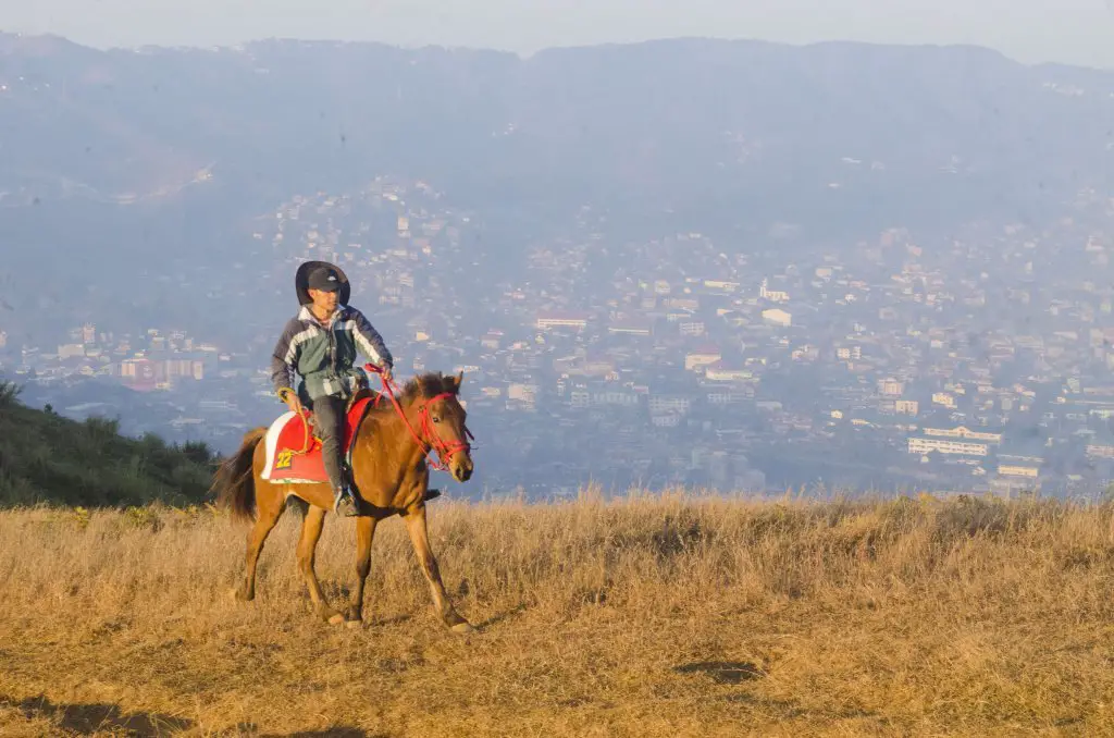 Horse riding atop Mt Yangbew, La Trinidad, Benguet