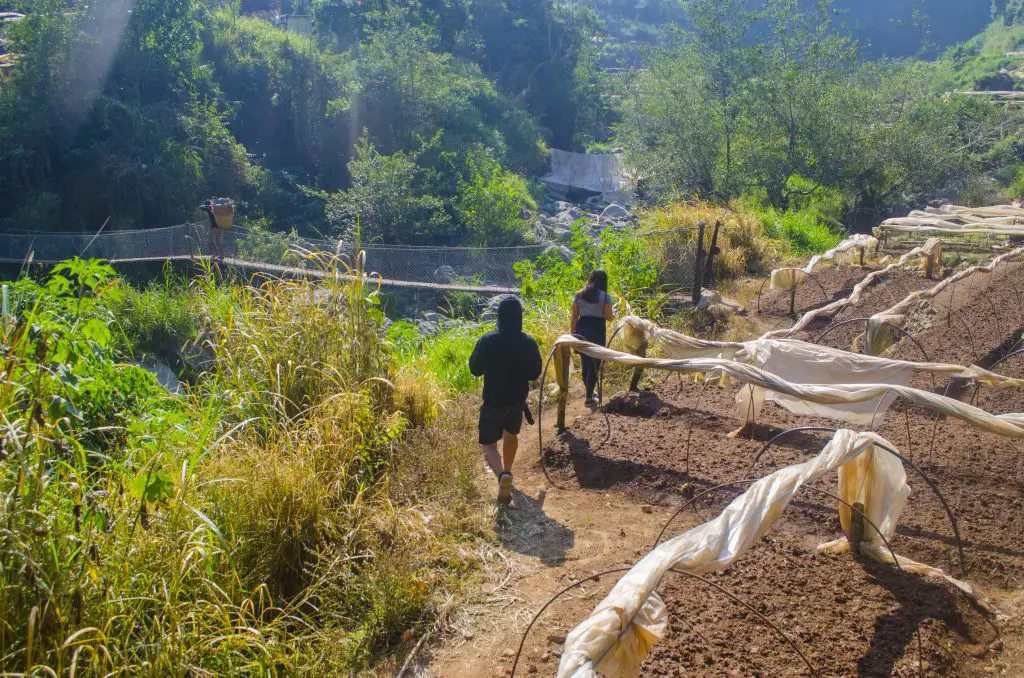 On the way to Payogpog Falls, Shilan, La Trinidad, Benguet.