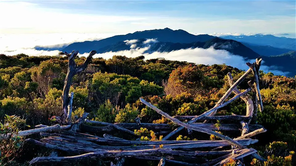 Benguet Tourist Spots (Mt Tabayoc)