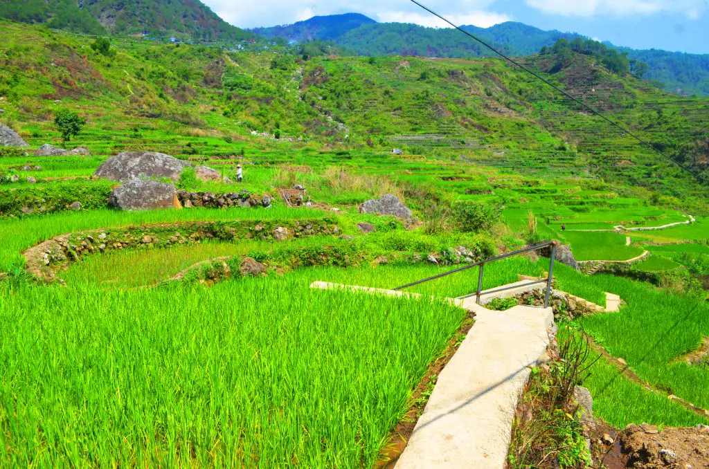 Fidelisan Rice Terraces is one of the best places to visit in Sagada