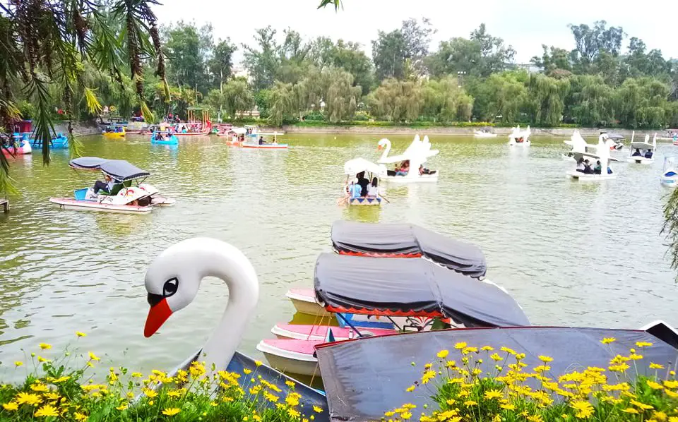 The man-made lake in Burnham Park.