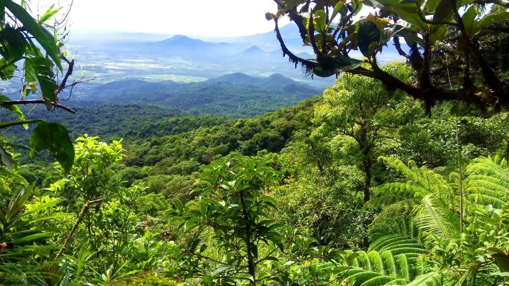 Top 10 Stunning Forests In The Philippines You Should Visit Now 1149