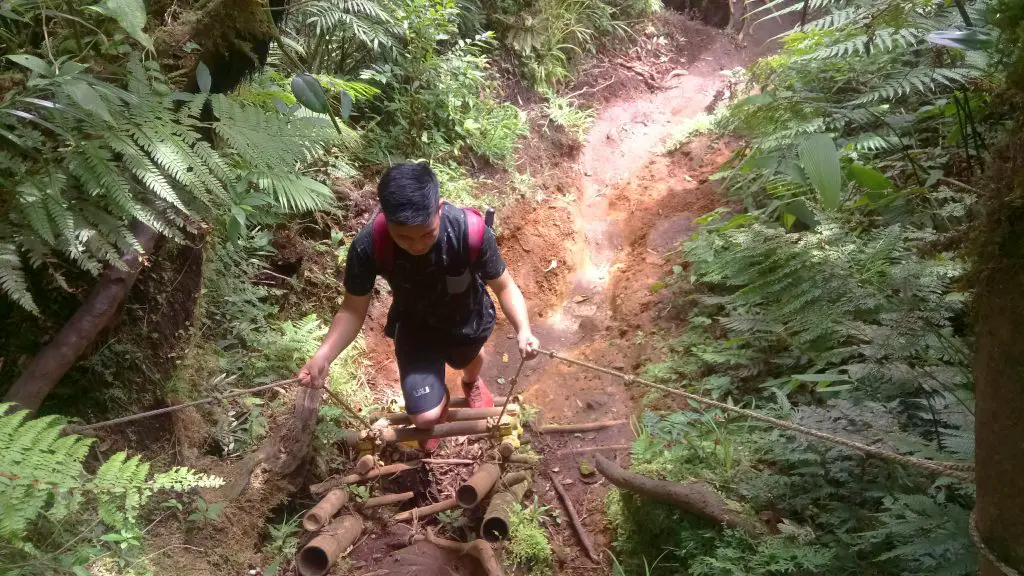 A ladder on the way to Mt Makiling