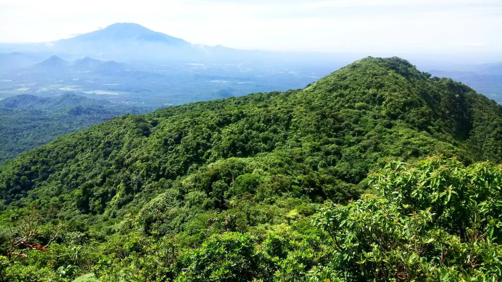 View of the forest and the distant Mt Banahaw as seen from Mt Makiling's peak