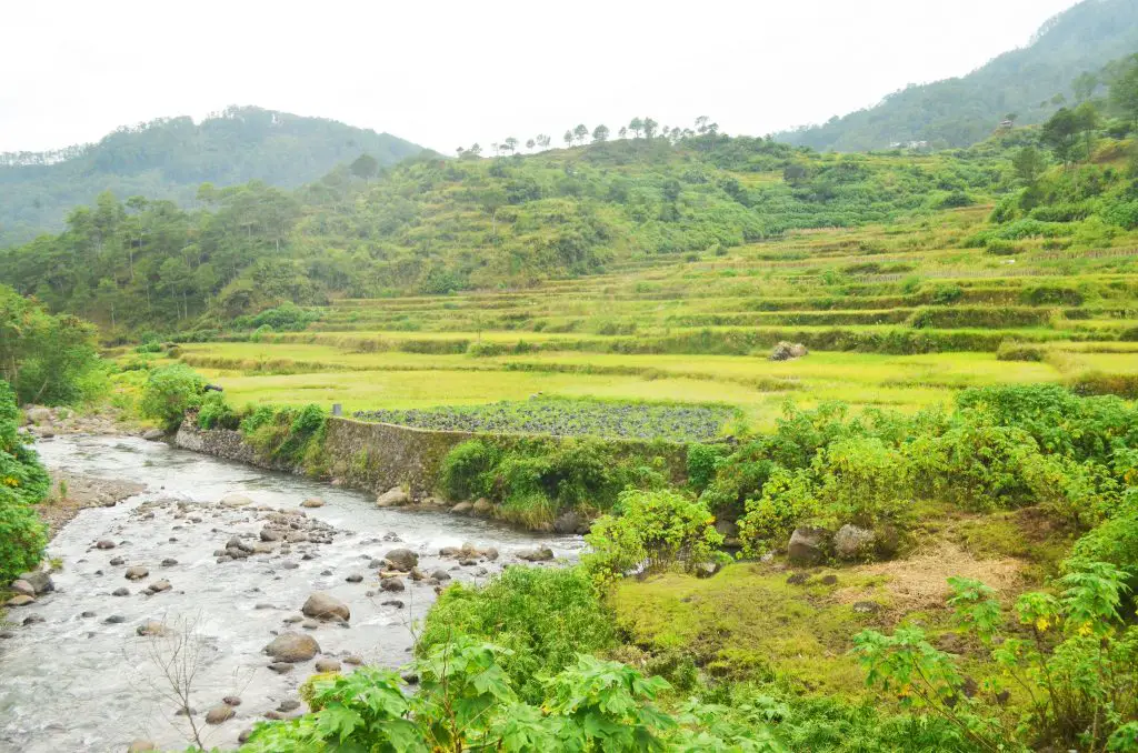 Rice terraces in Ankileng Sagada