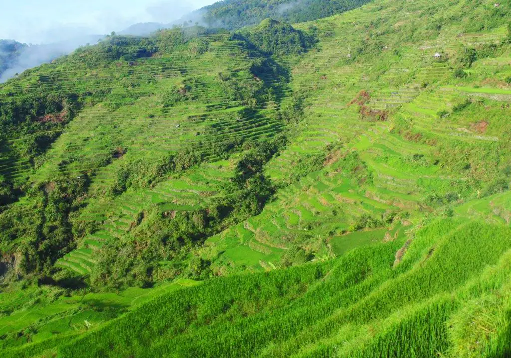Sadanga Rice Terraces is one of the best rice terraces of the Philippine Cordilleras