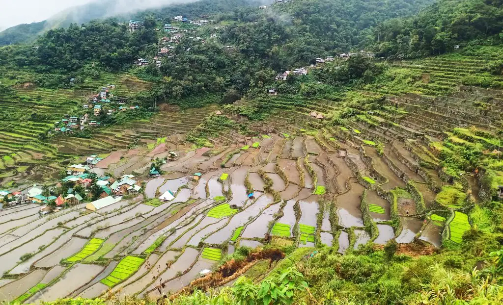 A view of Batad Rice Terraces in Banaue, Ifugao