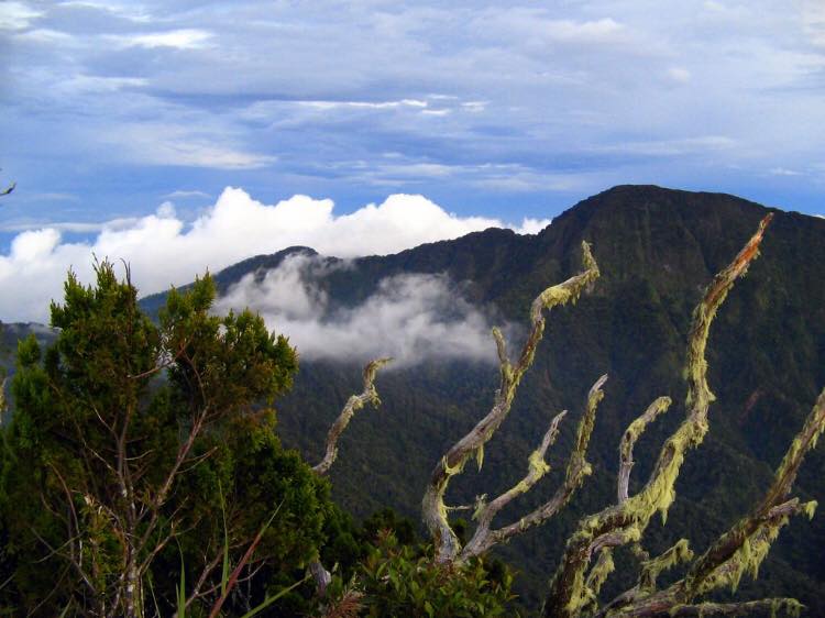 Mount Kitanglad is one of the top Bukidnon tourist spots.
