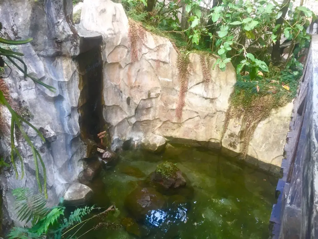 One of the wishing wells in Botanical Garden Baguio