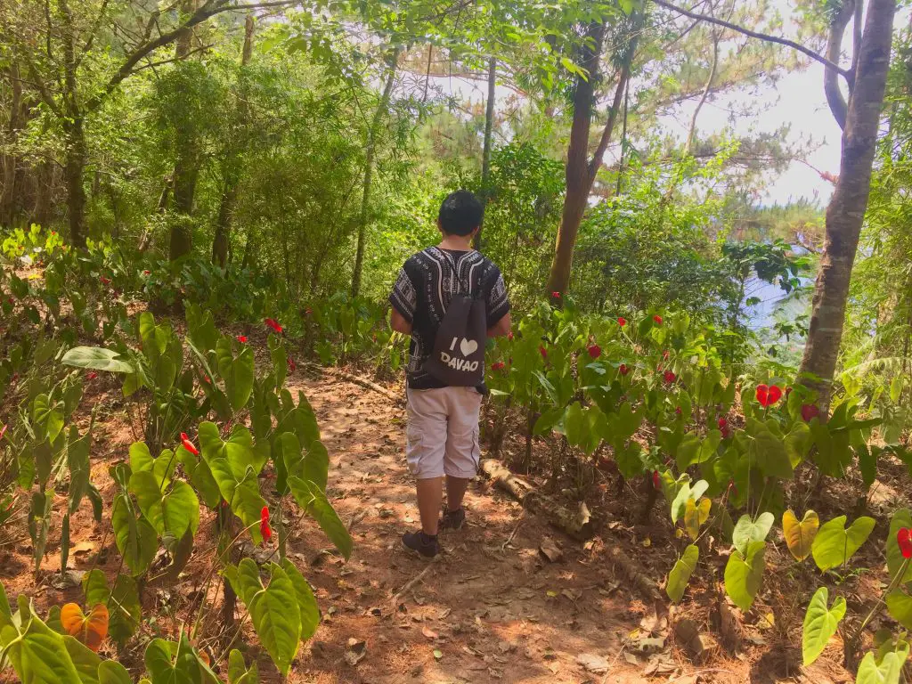 Flowers at Winaca Eco Cultural Village