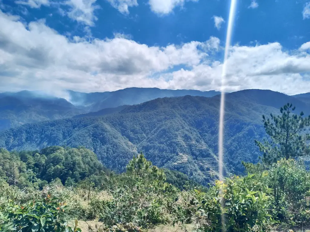 Forest views from Marlboro Country/Marlboro Hills Sagada