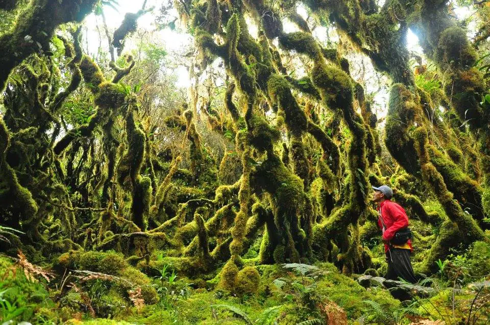 Mt Pandadagsaan is one of the most beautiful tourist spots in Mindanao