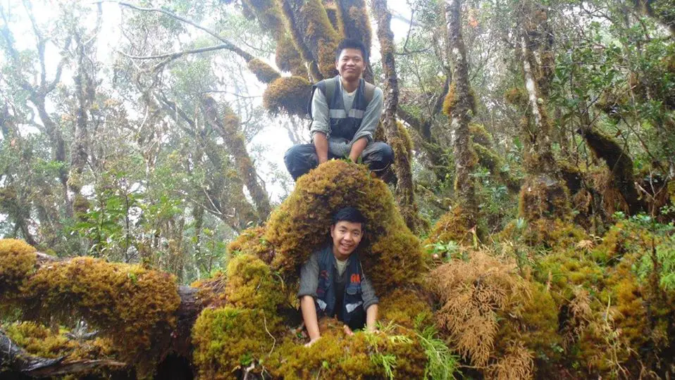 Enjoying Sayang Mossy Forest Philippines