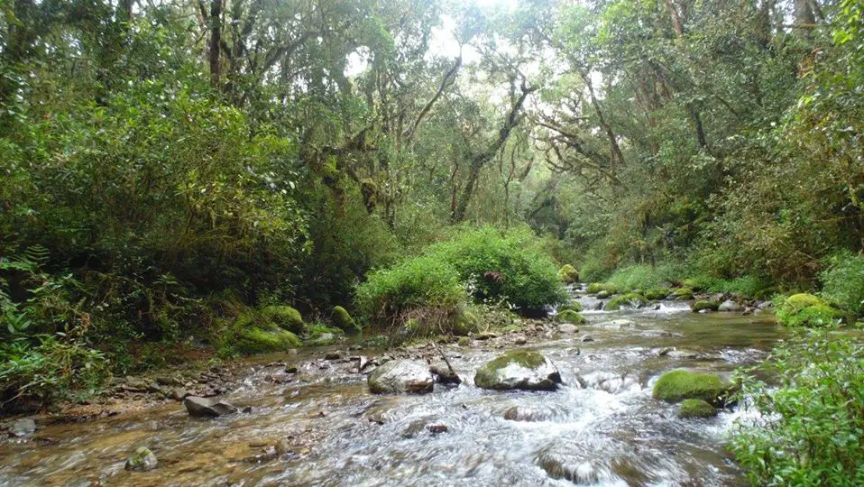 Mamallat River is one of the cleanest rivers in the Philippines