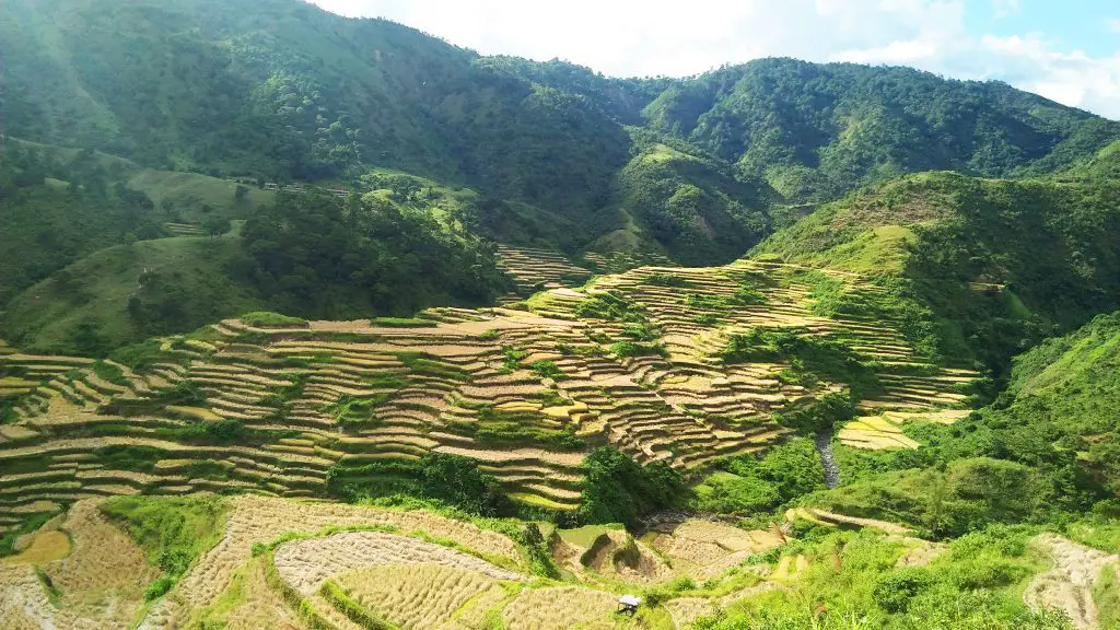 Betwagan Rice Terraces in the Philippines