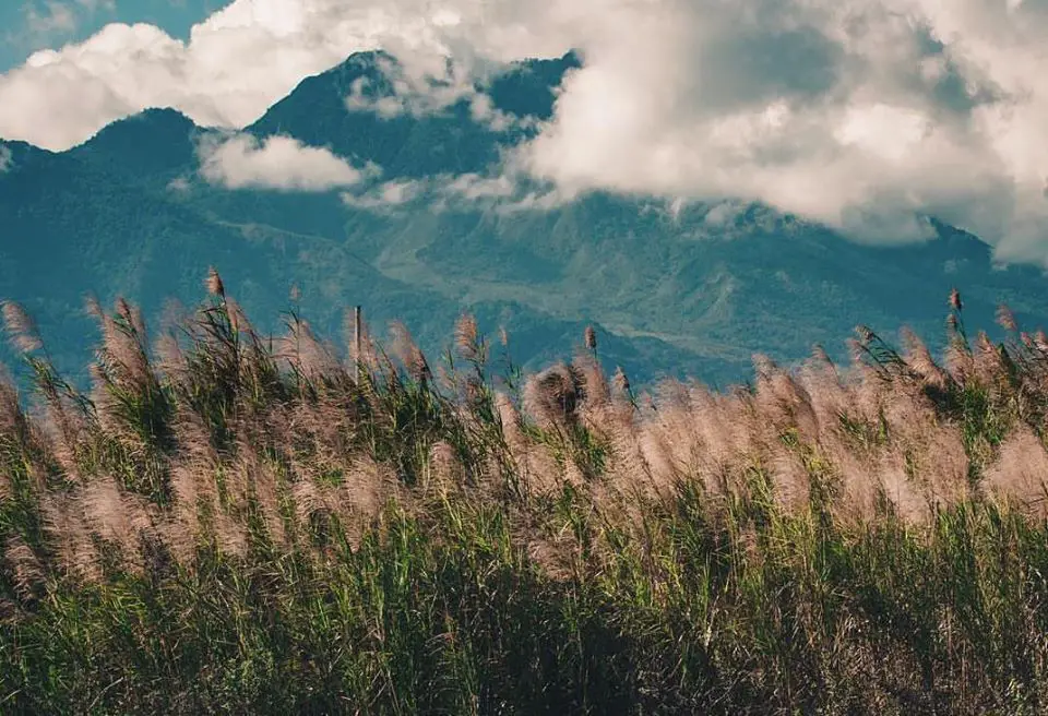 Mount Talinis is one of the best Negros Occidental tourist spot/destinations