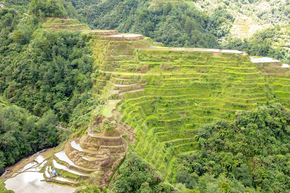 Banaue Rice Terraces is one of the best rice terraces of the Philippine Cordilleras