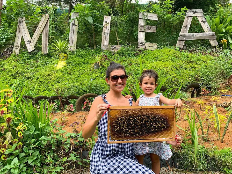 Milea Bee Farm is one of the famous tourist spots/attractions in Batangas province.