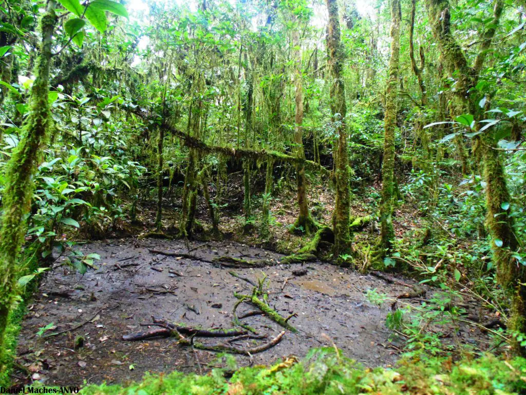 Mount Isarog is one of the tourist spots/destination in Camarines Sur