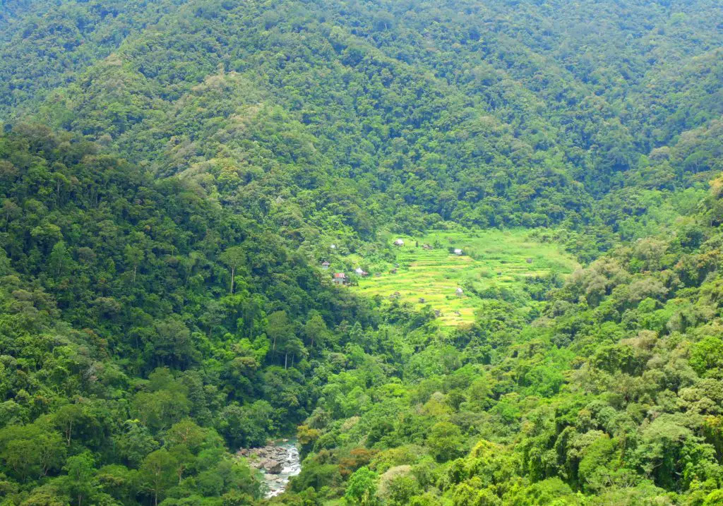 Kangao Rice Terraces is one of the best rice terraces of the Philippine Cordilleras