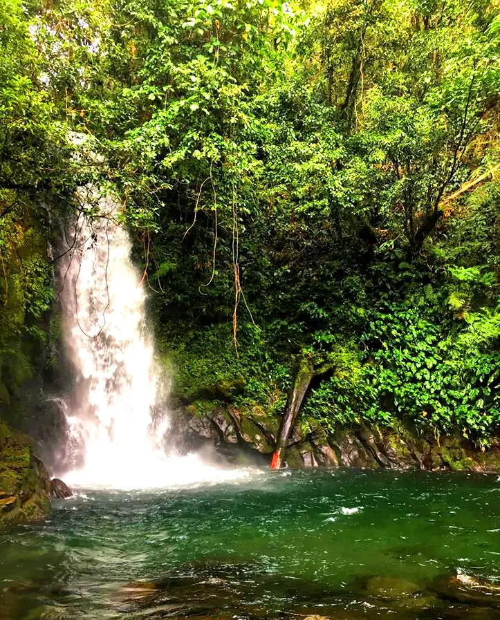 Malabsay Falls is one of the tourist spots/destination in Camarines Sur