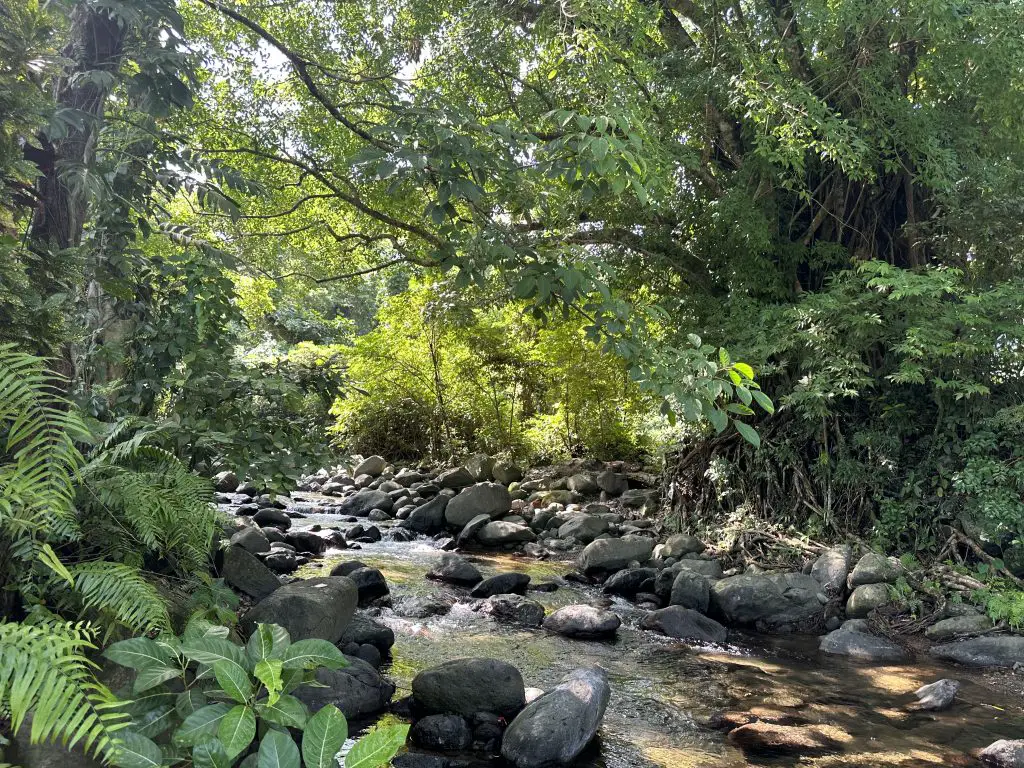 Pristine waters feeding Kabigan Falls
