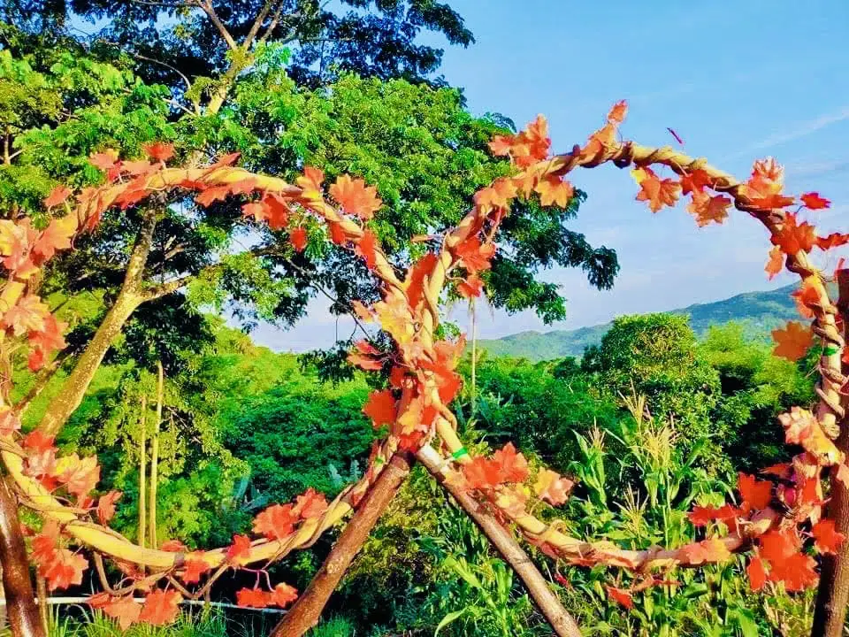 Likap Eco park is a promising Ormoc tourist spot