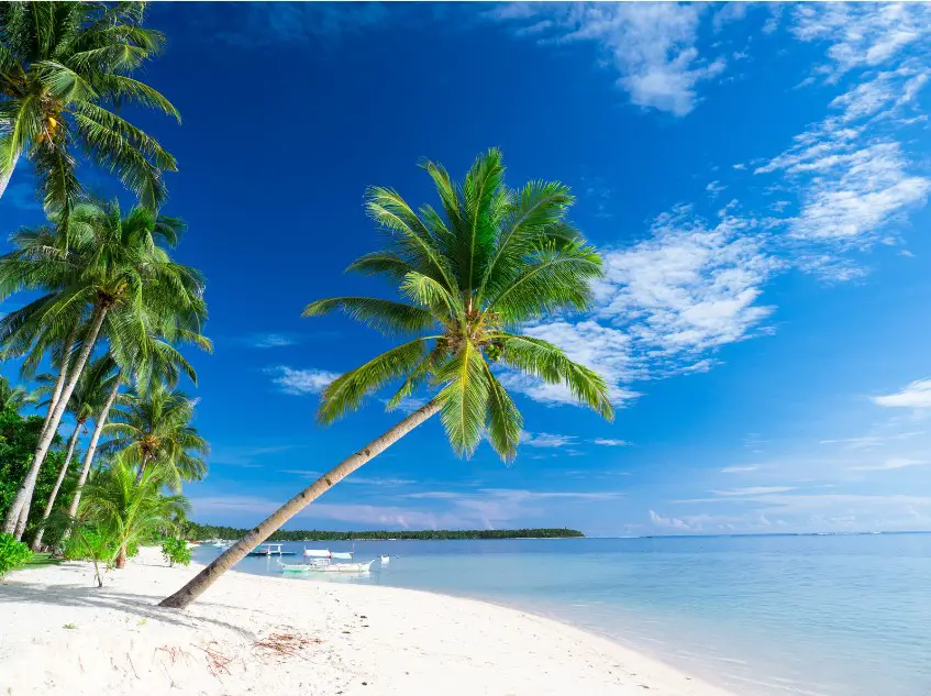 Alegria Beach is a famous Siargao tourist destination