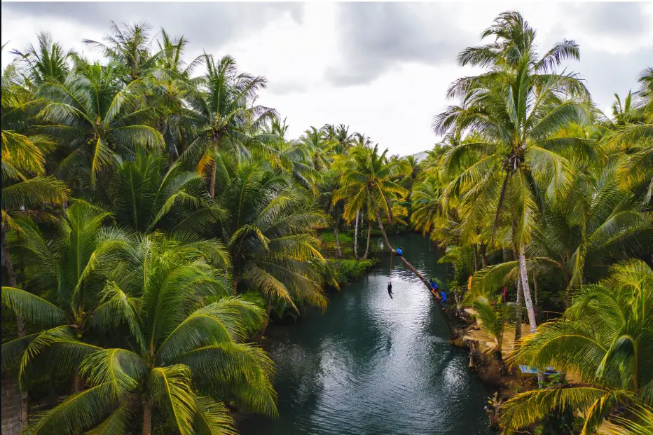 Maasin River is among Siargao island tourist spot