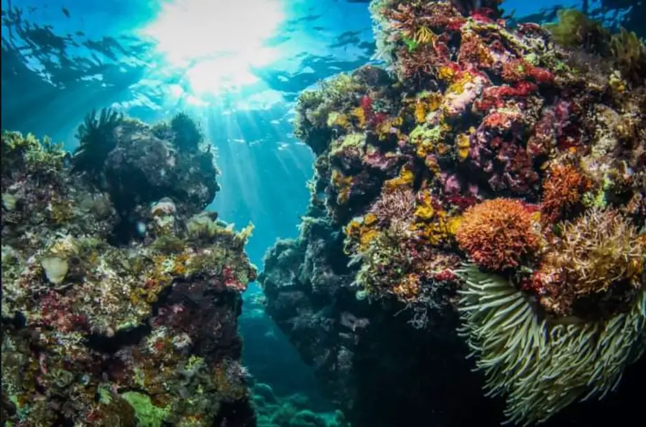 tourist destination in siquijor