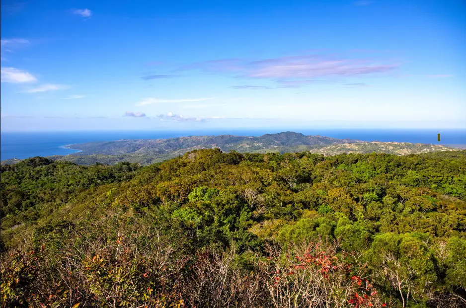 Mount Bandilaan is one of the hiking Siquijor tourist spots